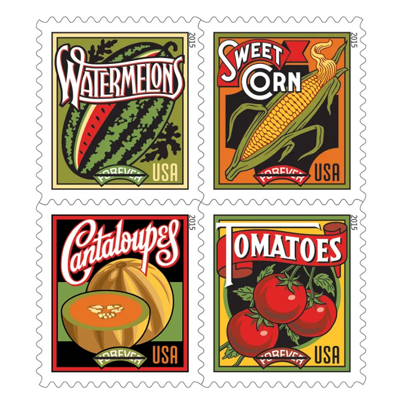 Summer Harvest  2015